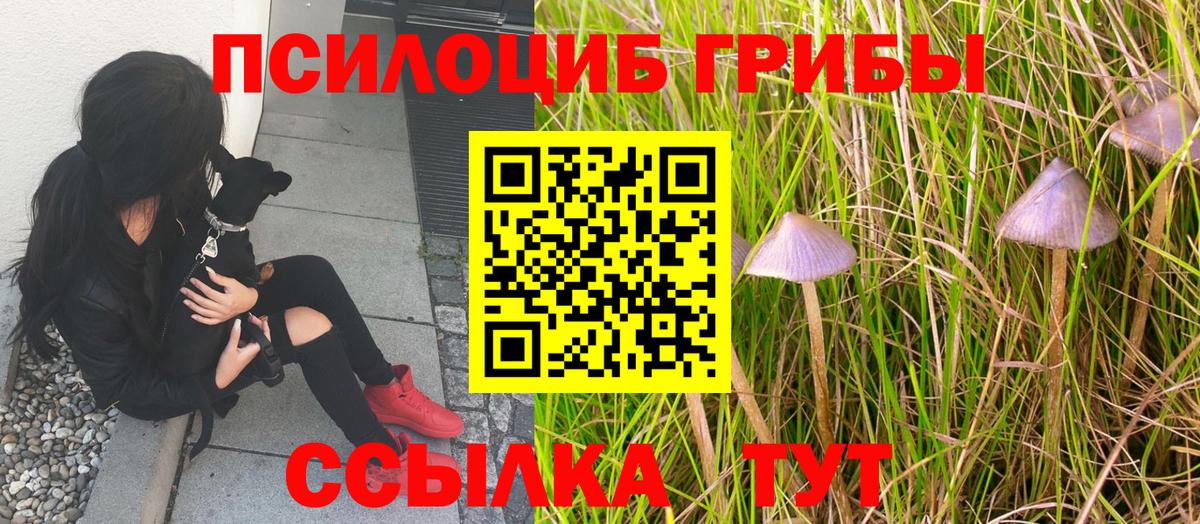 Галлюциногенные грибы Magic Shrooms  Псилоцибиновые грибы прущие грибы  Вход с VPN  Усть-Илимск 